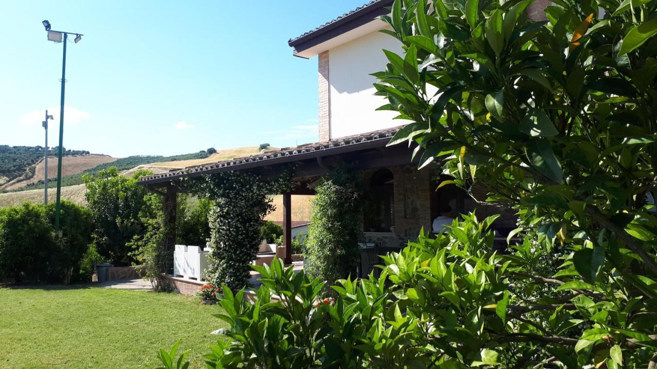 Agriturismo Trappeto Vecchio San Demetrio Corone Exteriör bild