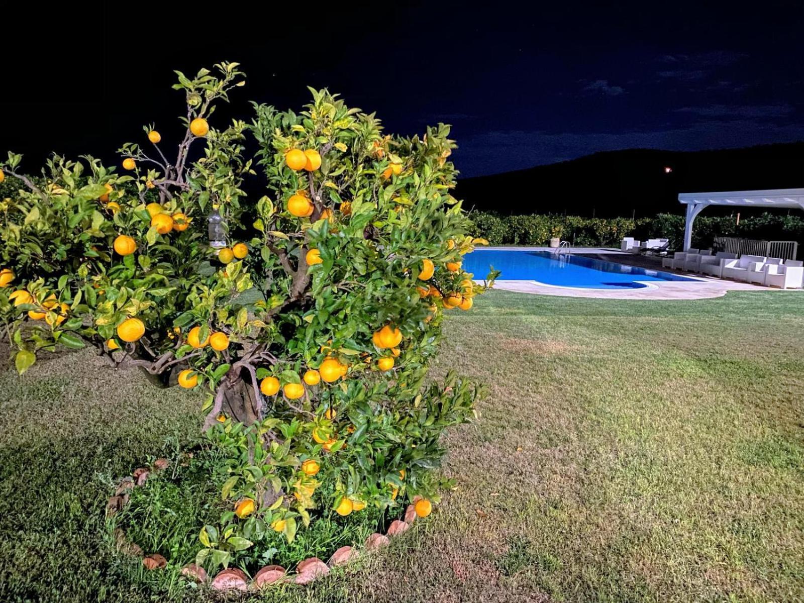 Agriturismo Trappeto Vecchio San Demetrio Corone Exteriör bild