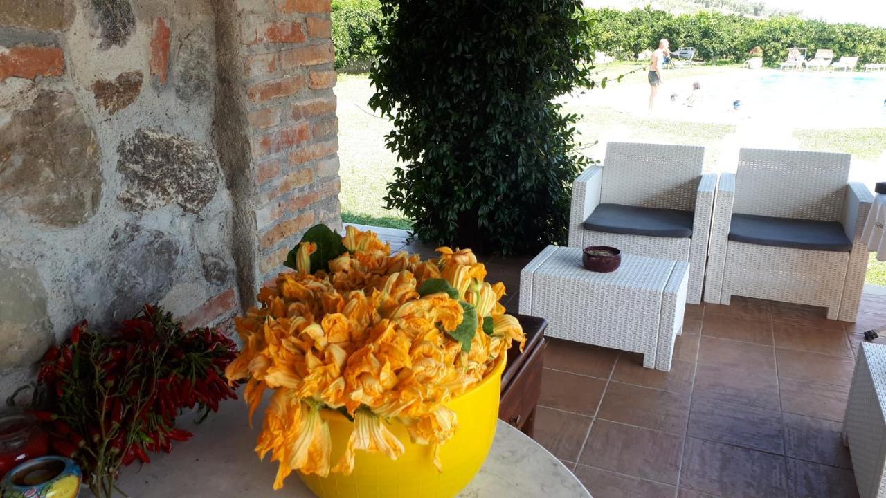 Agriturismo Trappeto Vecchio San Demetrio Corone Exteriör bild