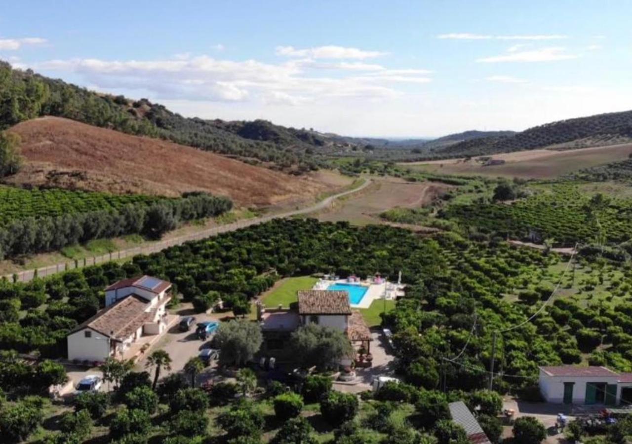 Agriturismo Trappeto Vecchio San Demetrio Corone Exteriör bild